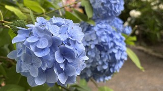 IMG_7758