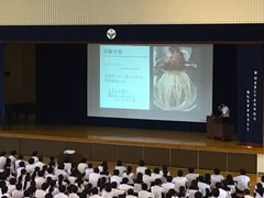 08